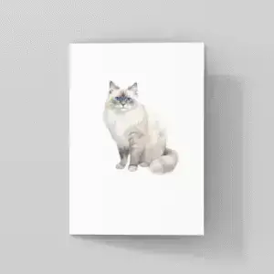 Strona tytułowa Koty (50042)